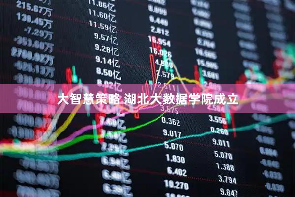 大智慧策略 湖北大数据学院成立