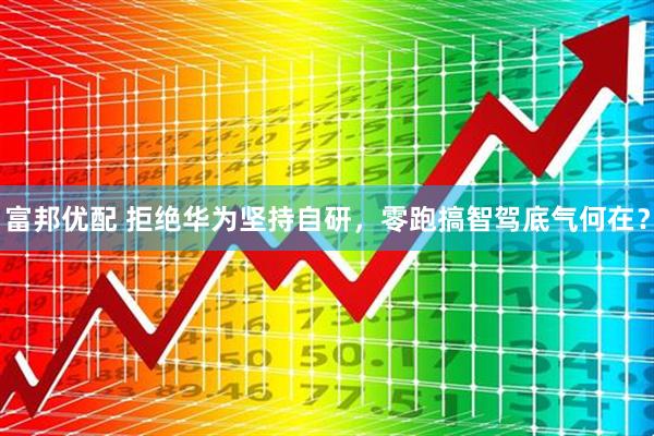 富邦优配 拒绝华为坚持自研,零跑搞智驾底气何在?