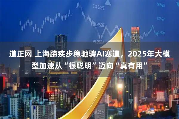 道正网 上海蹄疾步稳驰骋AI赛道，2025年大模型加速从“很聪明”迈向“真有用”