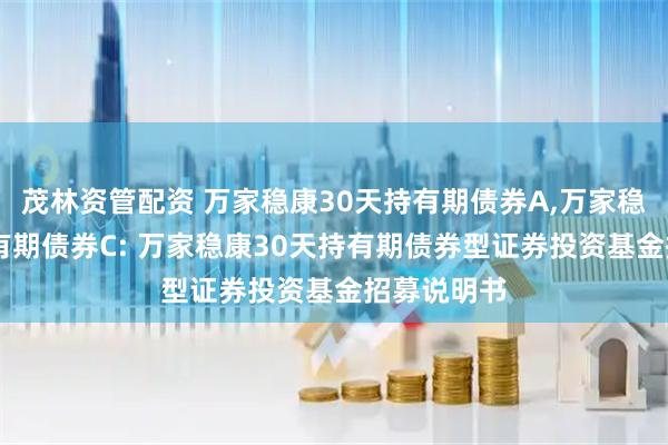 茂林资管配资 万家稳康30天持有期债券A,万家稳康30天持有期债券C: 万家稳康30天持有期债券型证券投资基金招募说明书